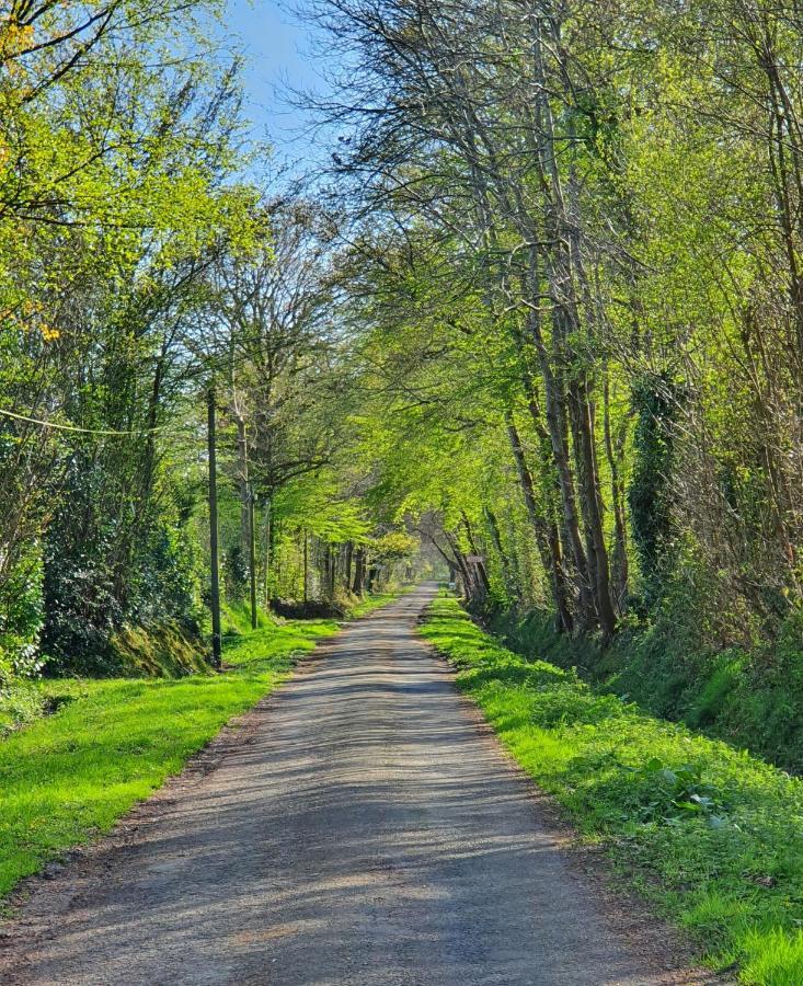 Le Clos Joly 14 Saint-Gâtien-des-Bois Eksteriør billede