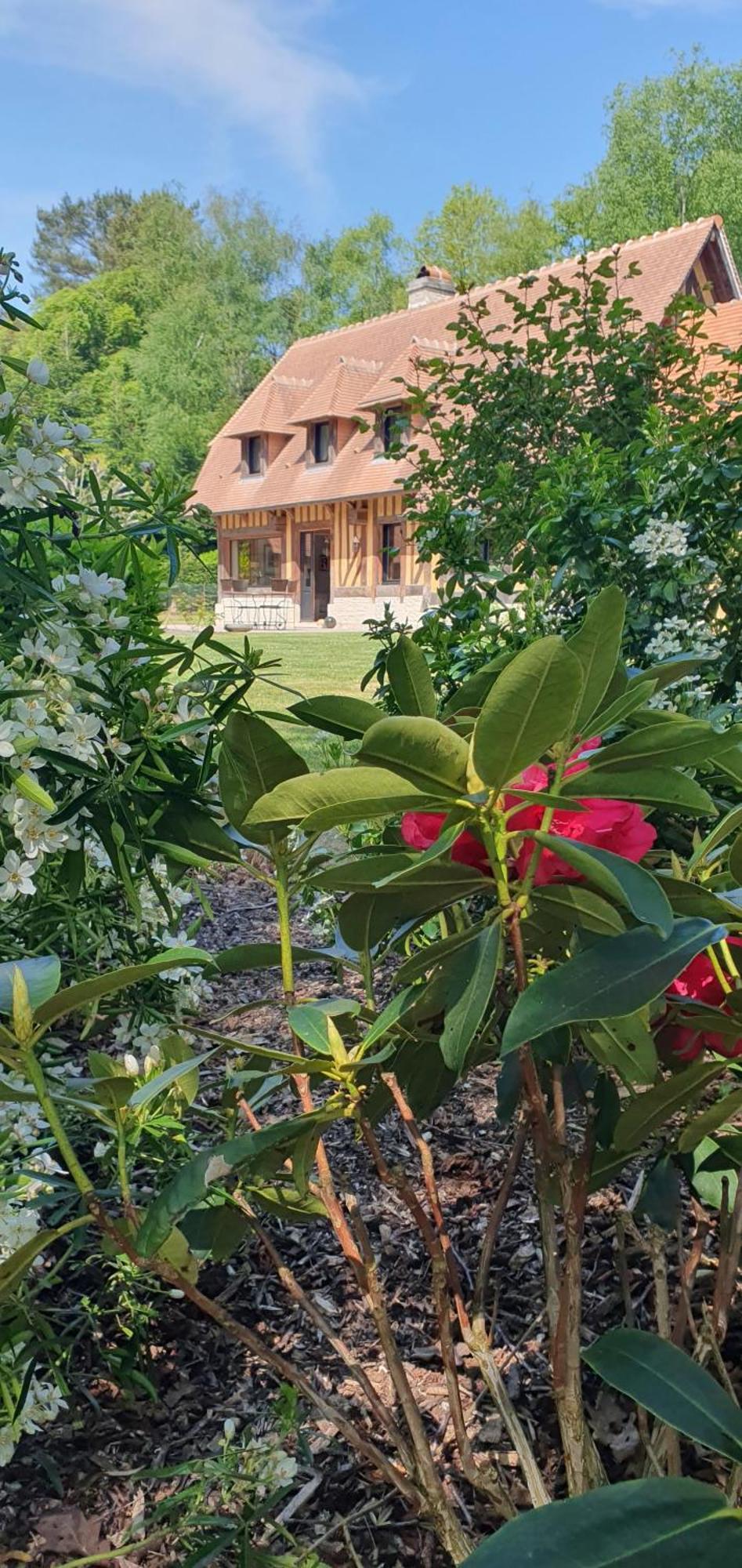 Le Clos Joly 14 Saint-Gâtien-des-Bois Eksteriør billede